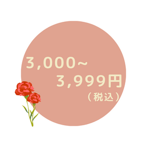 3,000`3,999~iō{^