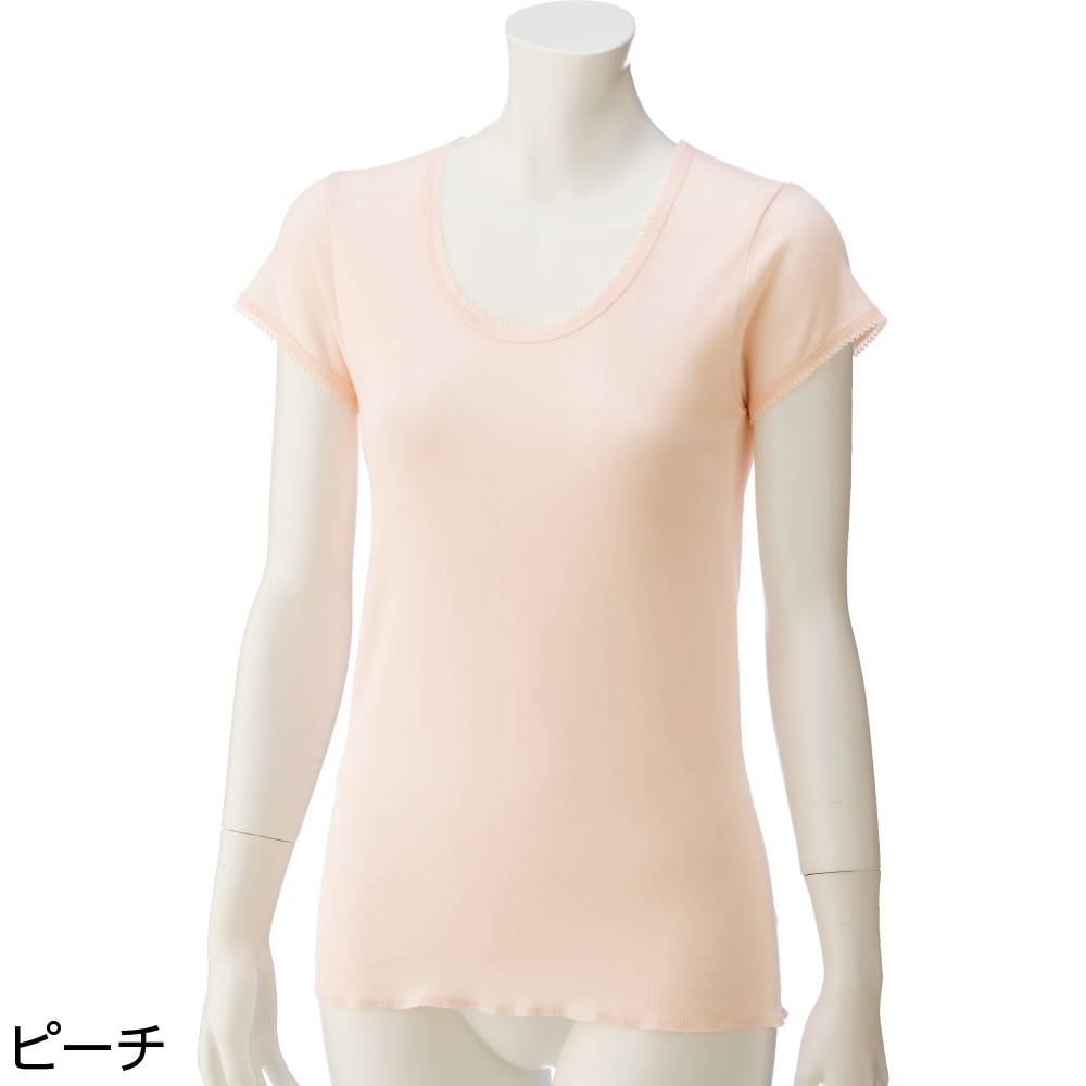 3�����V���c(2���g)�i�w�l�j