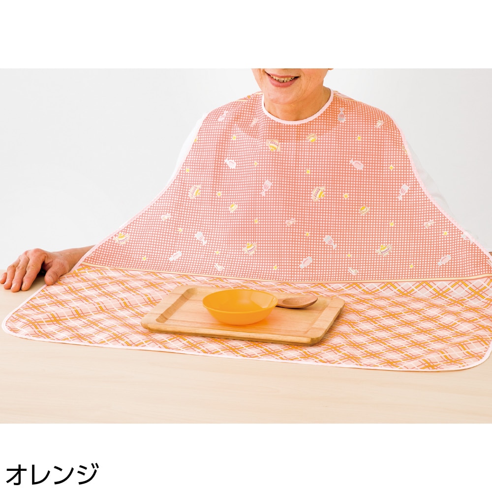 �H���p�G�v����