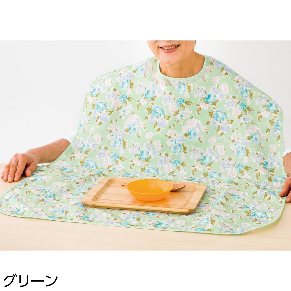�H���p�G�v����