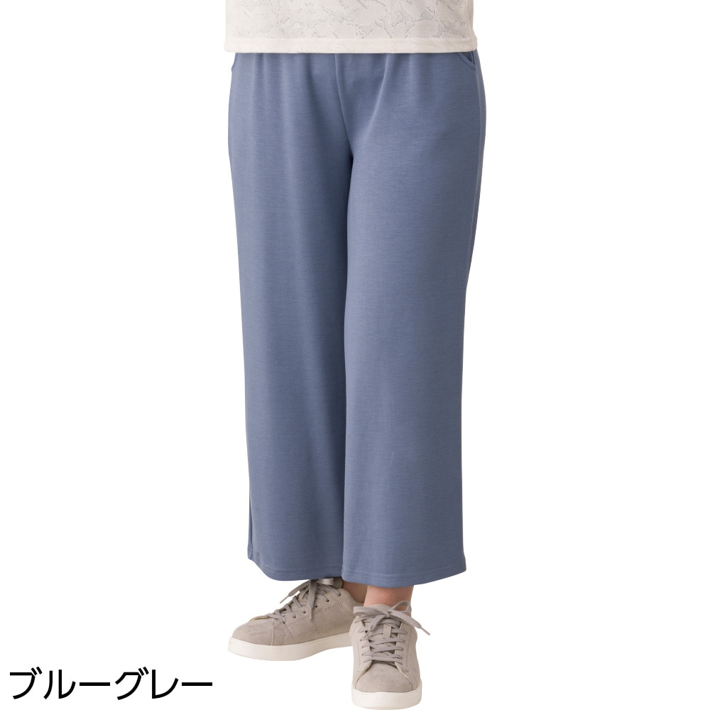 �_�炩�n�C�e���V�������C�h�p���c(�w�l)