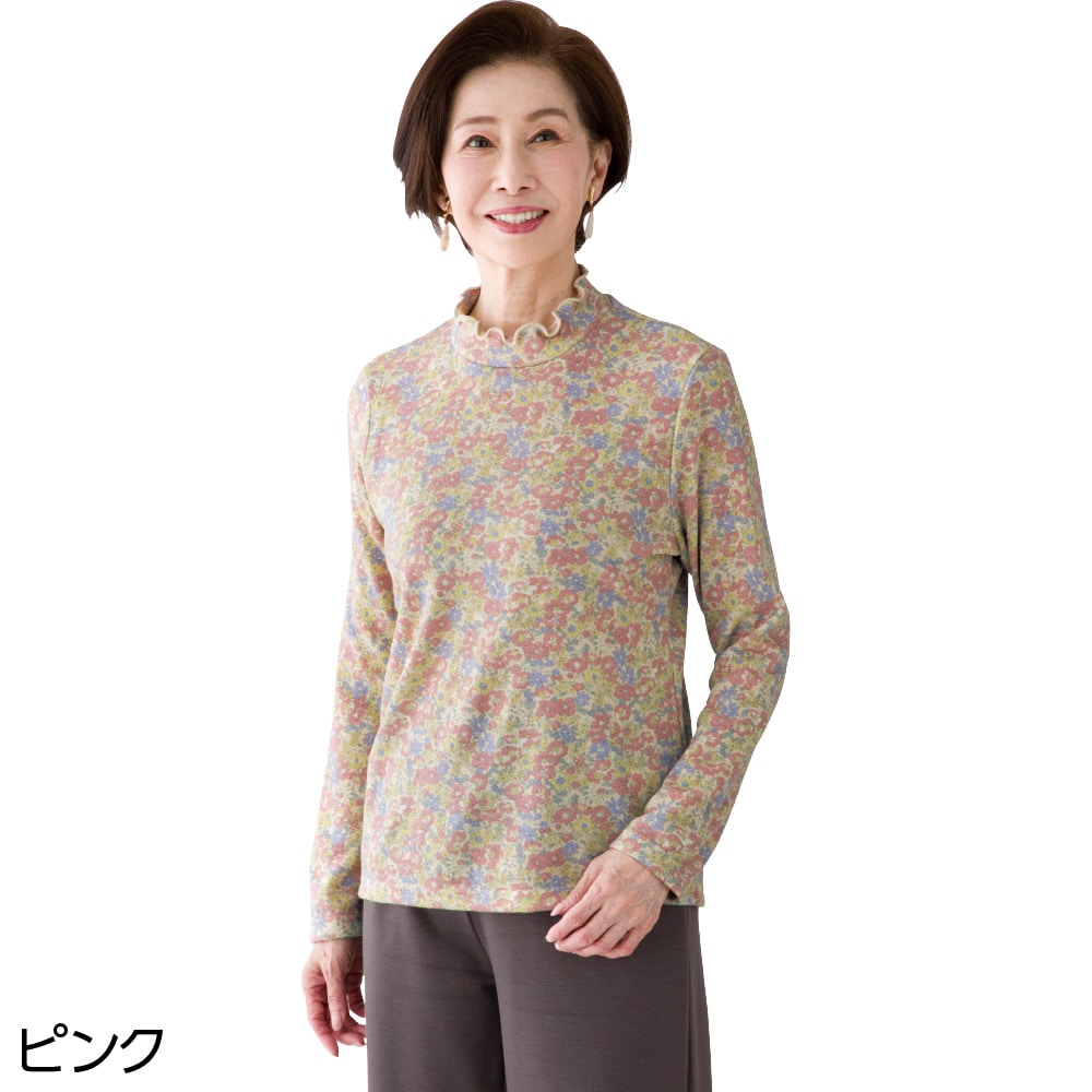 �w��������蒅�S�n�s�V���c(�w�l)
