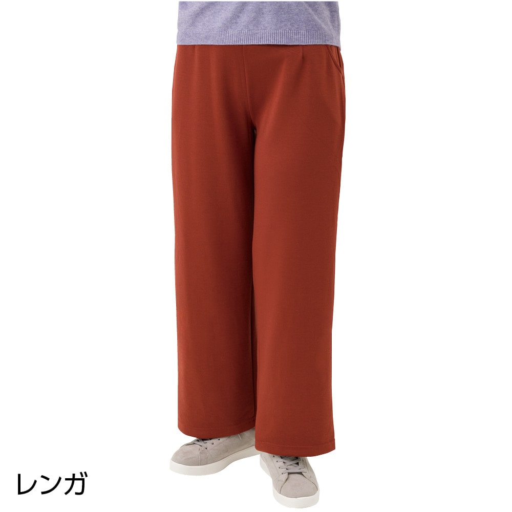 �_�炩�n�C�e���V�������C�h�p���c(�w�l)
