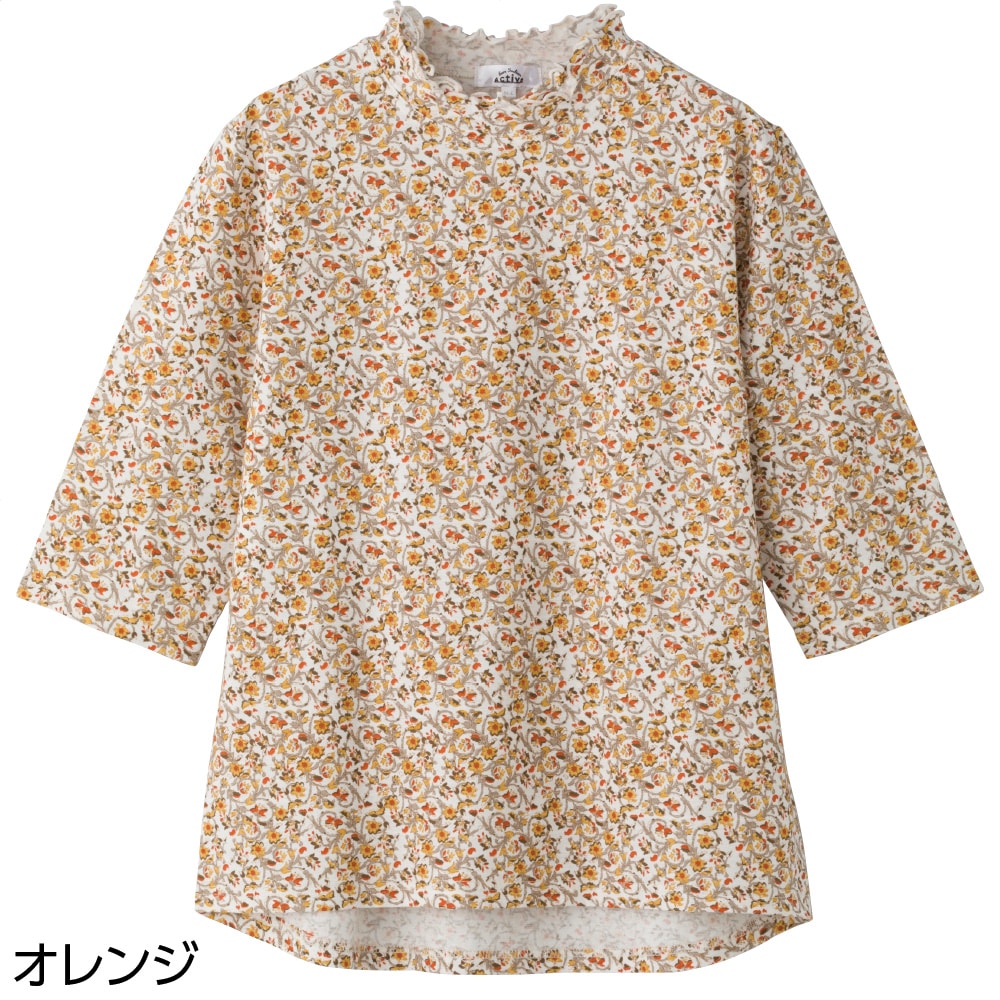 5������뒷�߂s�V���c(�w�l)