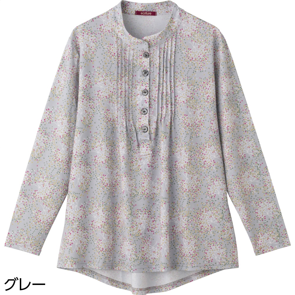 �΂ߖt�z�[���s���^�b�N�u���E�X(�w�l)