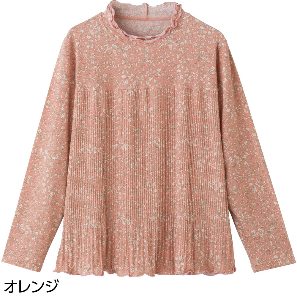 �����E�v���[�c�s�V���c(�w�l)