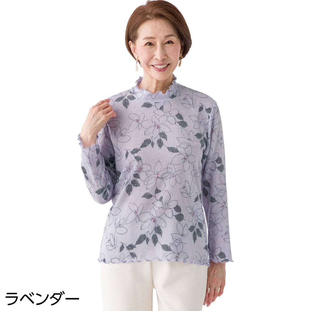 �w��������蒅�S�n�s�V���c(�w�l)