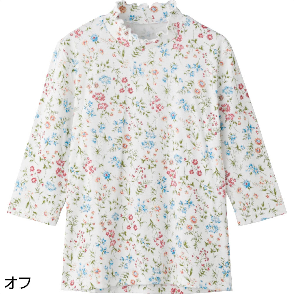 7�����w��������蒅�S�n�s�V���c(�w�l)