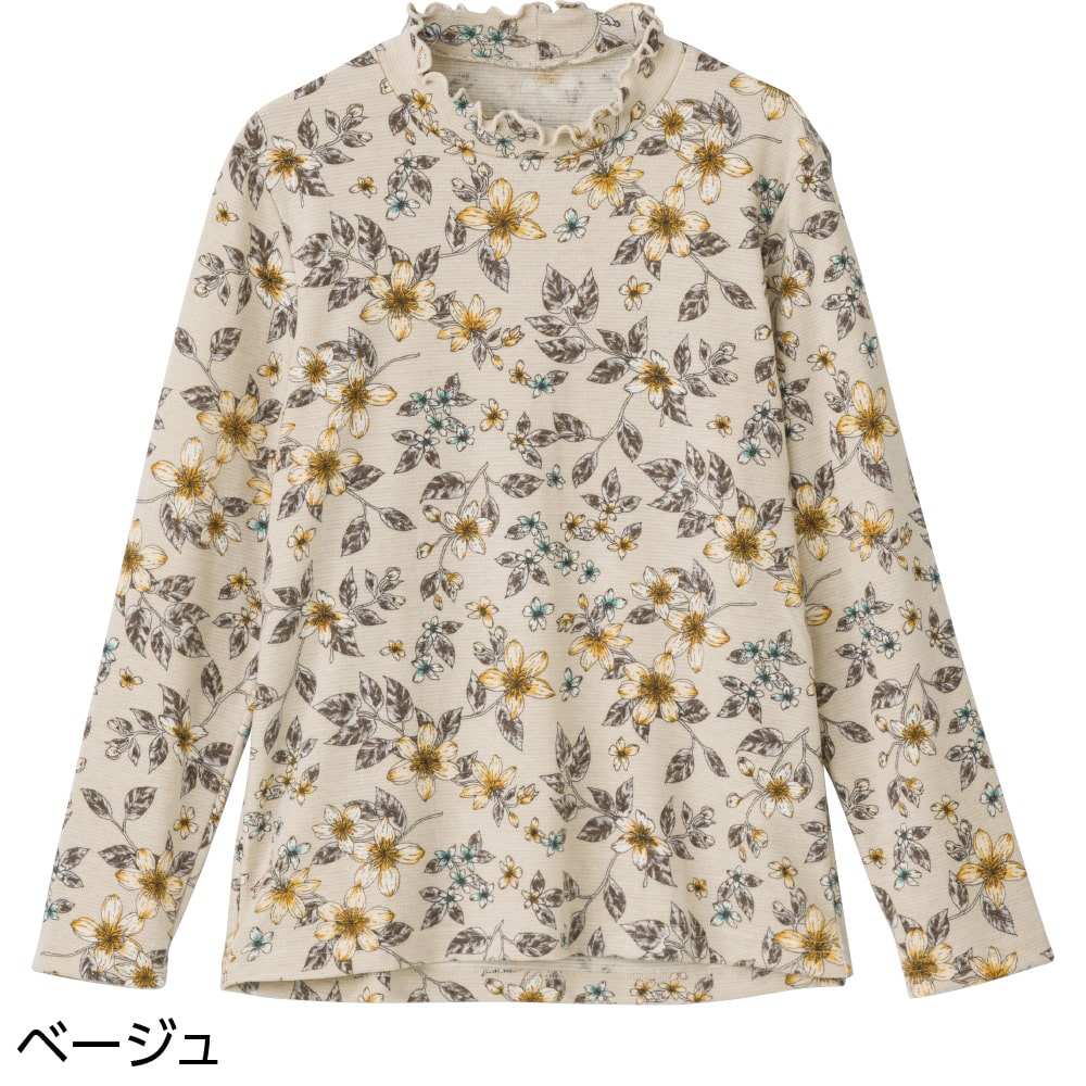 �w��������蒅�S�n���������s�V���c(�w�l)
