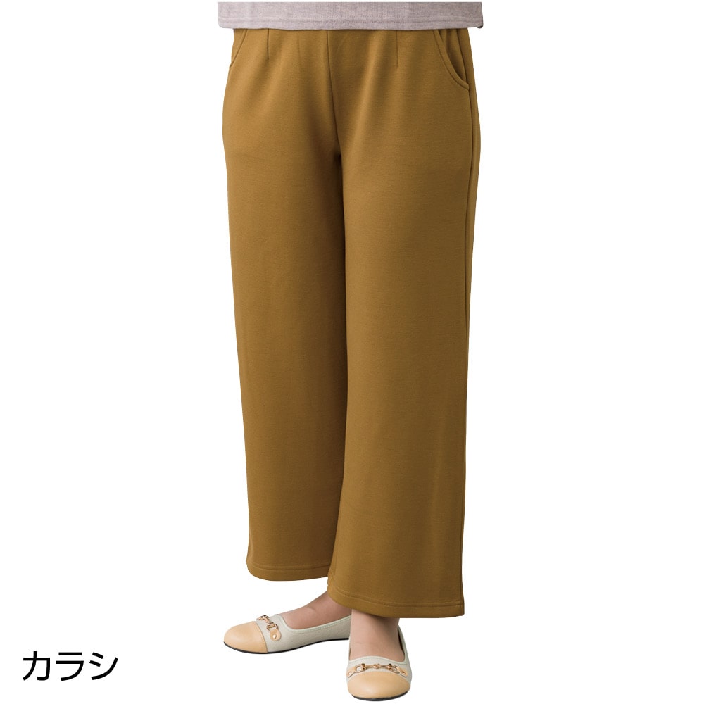 �_�炩���N�уn�C�e���V�������C�h�p���c�i�w�l�j