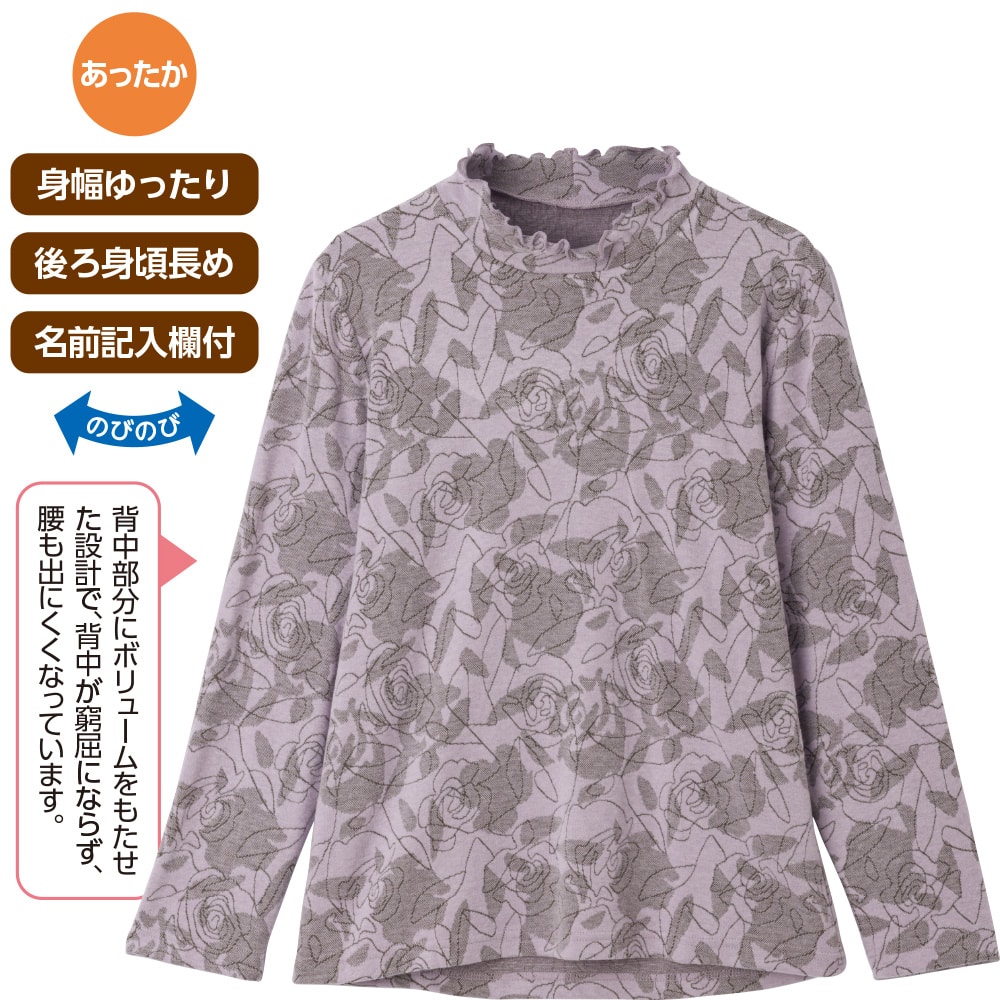 �w��������蒅�S�n���������s�V���c(�w�l)