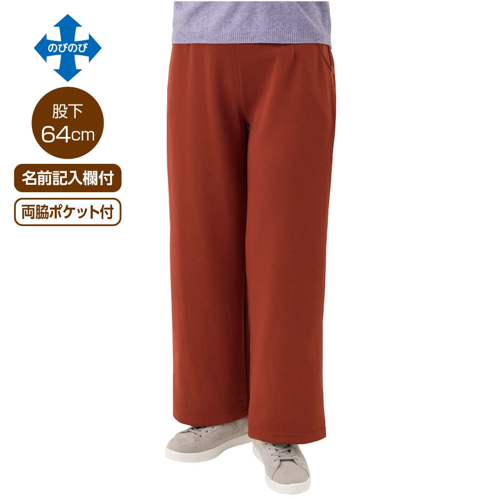 �_�炩�n�C�e���V�������C�h�p���c(�w�l)