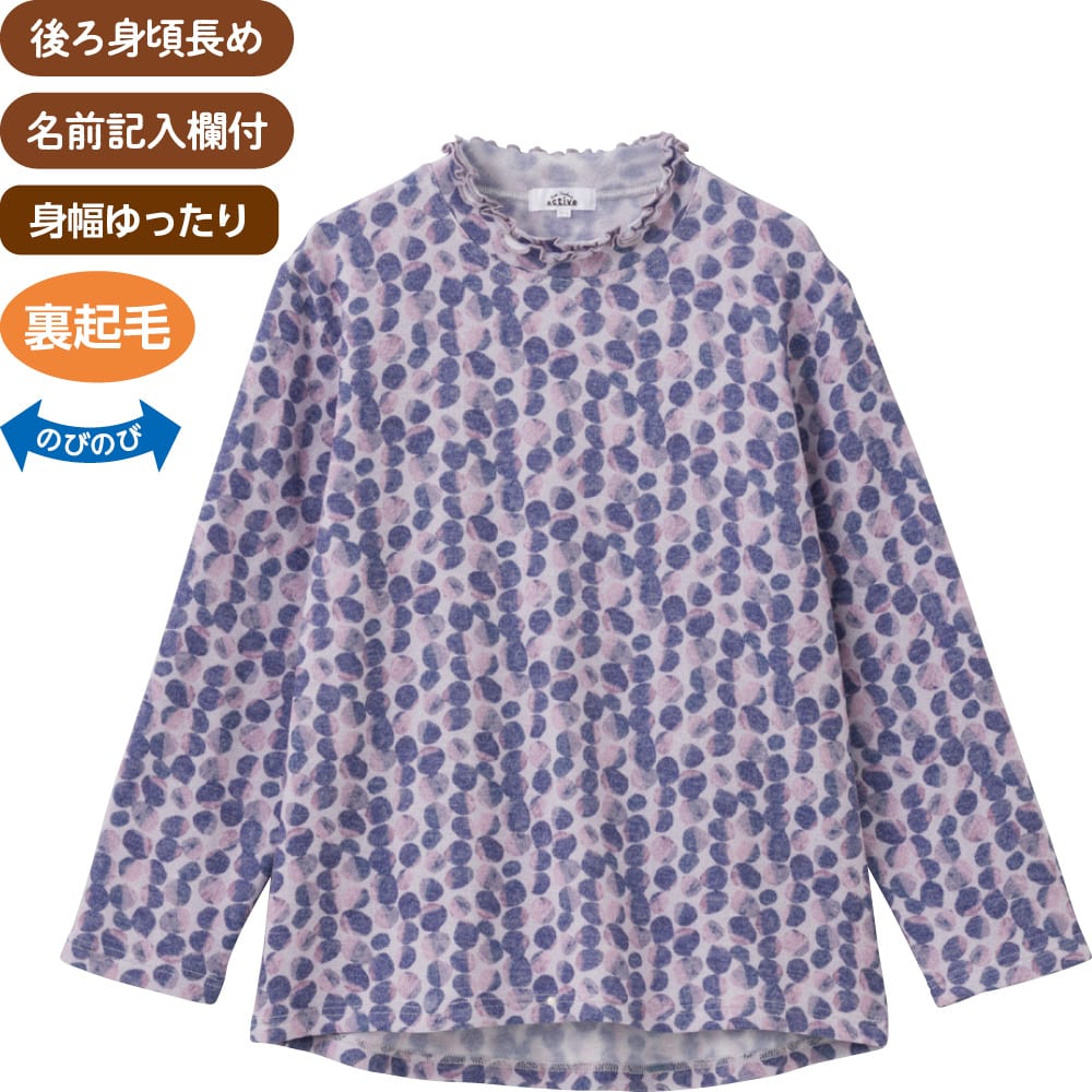 ���N�ь�뒷�߂s�V���c(�w�l)