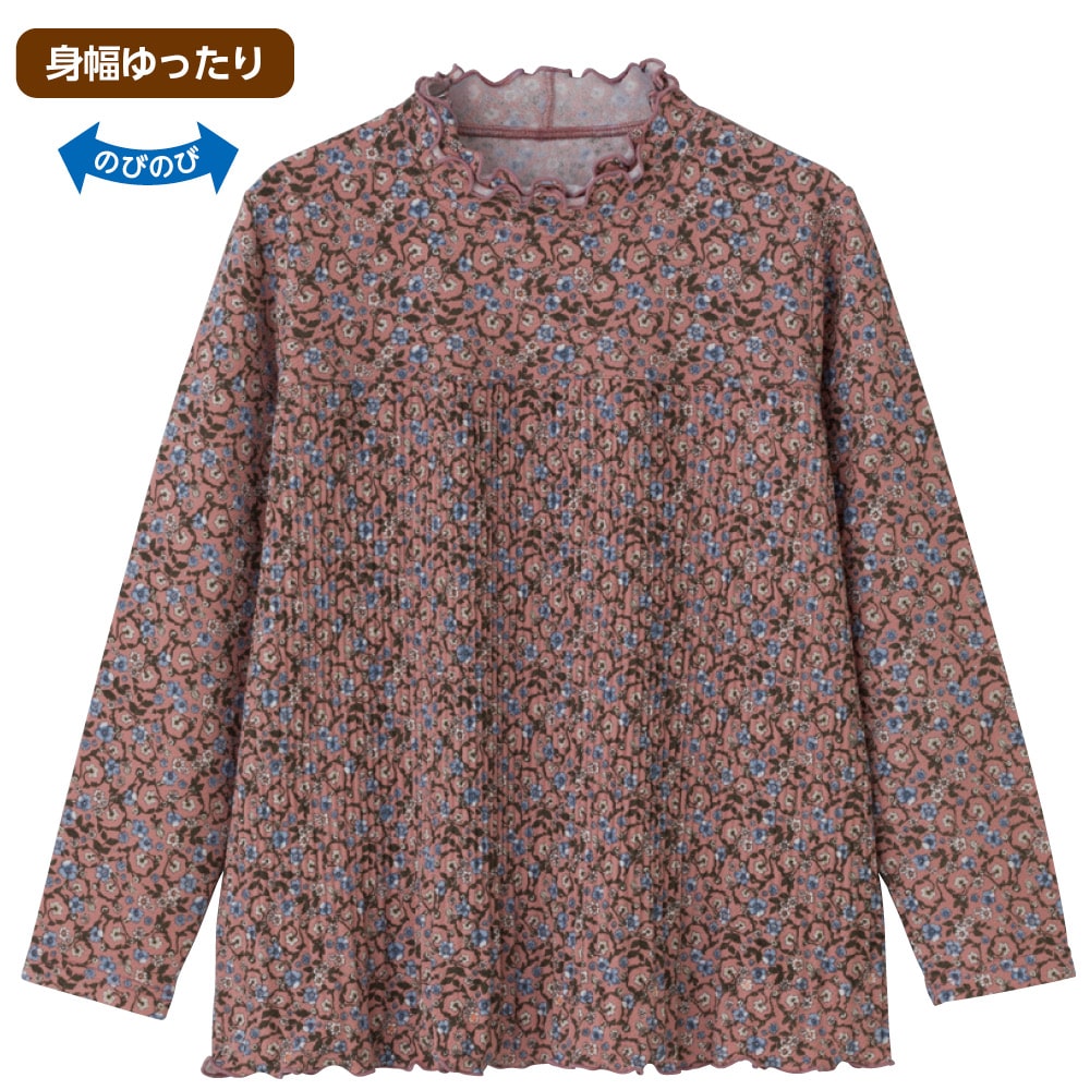 �v���[�c�s�V���c(�w�l)