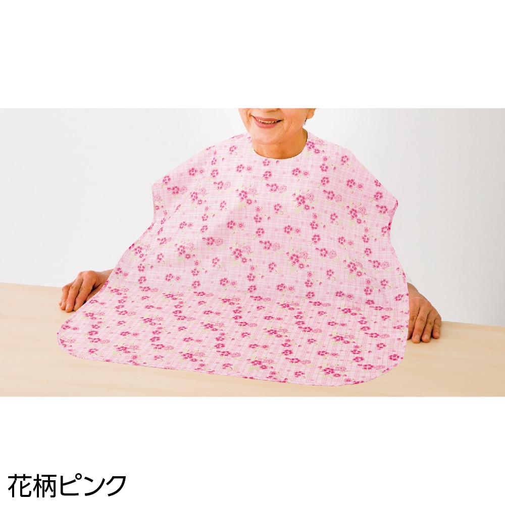 �H���p�G�v����