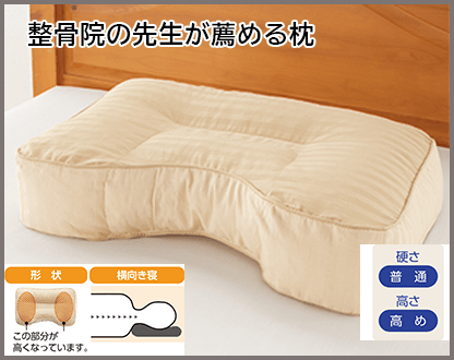 �����@�̐搶���E�߂閍(�������ɐQ�₷��)