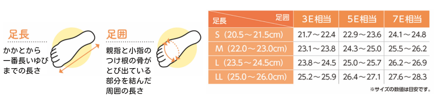 サイズ表