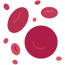 ���ǂ̃C���[�W