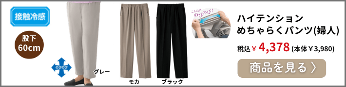 �n�C�e���V�����߂���炭�p���c(�w�l)