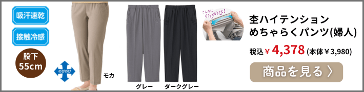 �ۃn�C�e���V�����߂���炭�p���c(�w�l)