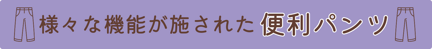 lXȋ@\{ꂽ֗pc