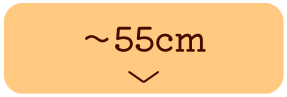 �҉�55cm�ȉ��̃Y�{��