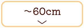 ҉56~60cm̃Y{