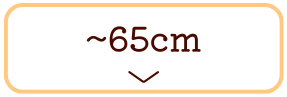 ҉65cmȉ̃Y{