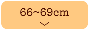 ҉66~69cm̃Y{