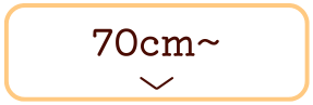 ҉70cmȏ̃Y{