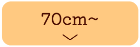 ҉70cmȏ̃Y{