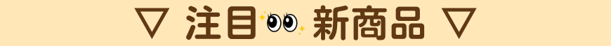 導入