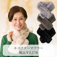 �G�R�t�@�[�}�t���[(�w�l)